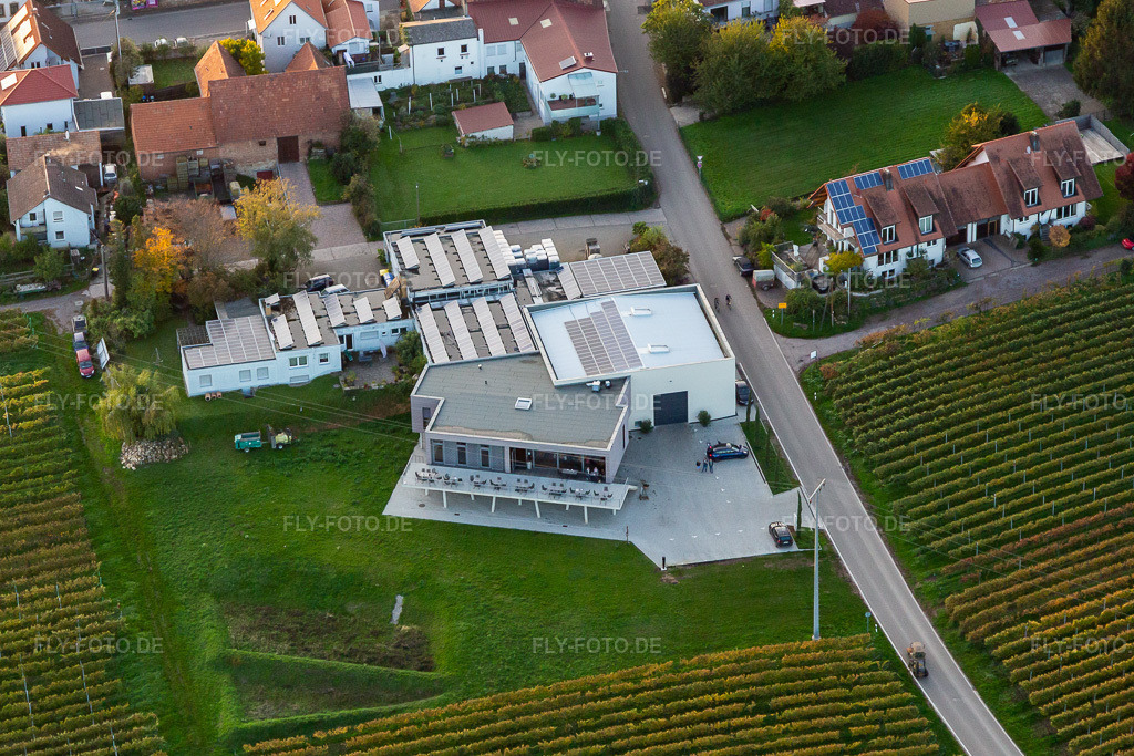 Luftbild: Vinothek Weingut Sauer in Nußdorf im Ortsteil Nußdorf in Landau im Bundesland Rheinland-Pfalz in Deutschland. Foto: IMG_135152.jpg vom 22.10.2022 durch Werner Riehm/FLY-FOTO.deWeingut Sauer: Ihr Winzer in Landau-Nußdorf