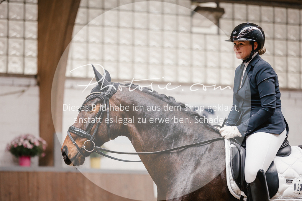 3I6A6682 | Stimmungsvolle Portraits und Reitsportfotografie im Ruhrgebiet und im Münsterland.

Pferdefotografie, Hundefotografie, Tierfotografie, Reportagen, Portraits von Tier und Mensch, Turnierfotografie in Bochum, Recklinghausen, Marl, Haltern am See, Dülmen.. - Realisiert mit Pictrs.com