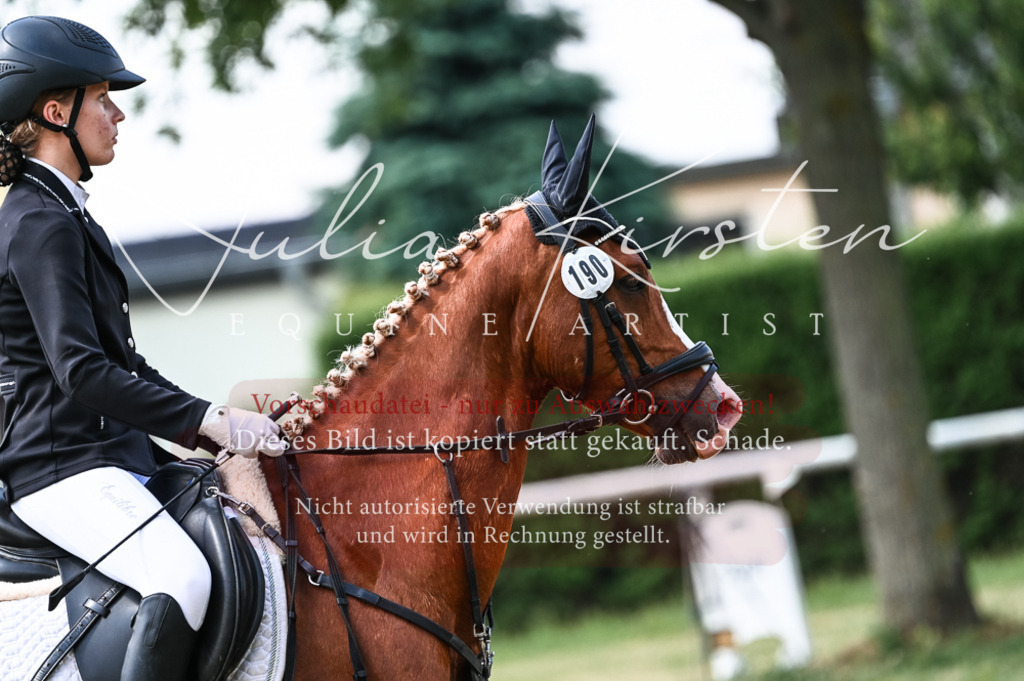 DSC_8713 | Pferde- und Turnierfotografie in Westsachsen. Pferdeportraits, Auftragszeichnungen und intuitive Kunst.