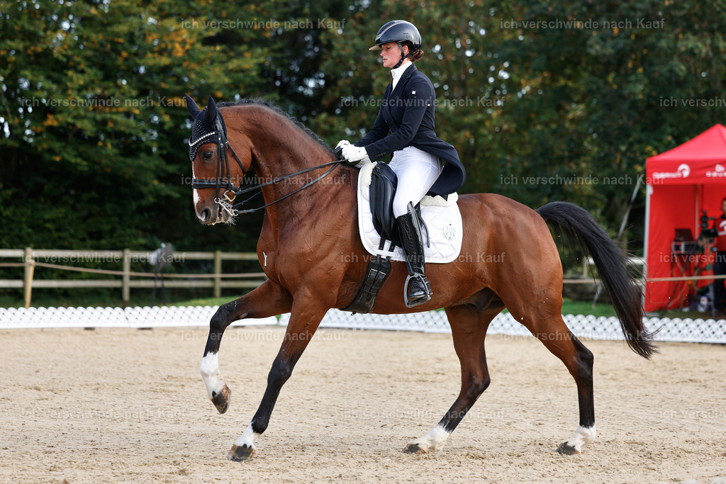 13-048-S___ -StoibPH-6970 | working equitationturnier fotograf videograf stoibphotography marixx film working equitation deutschland reitsport turnierfotografie eventfotografie equestrian events