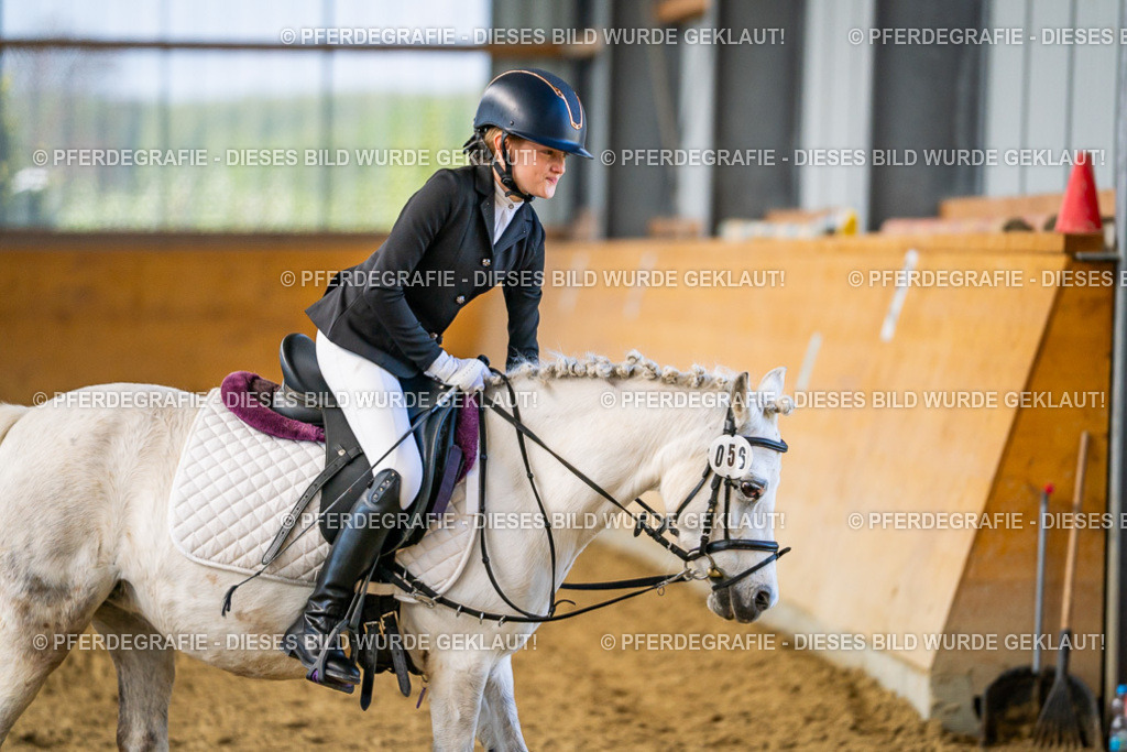 DSC03522 | Pferdegrafie