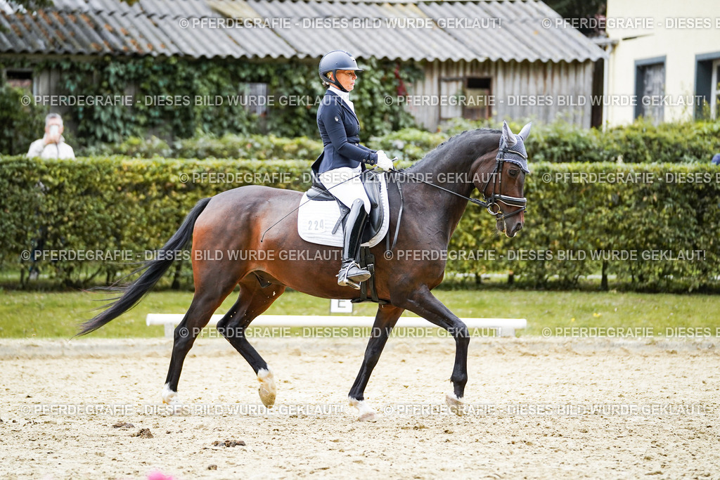 DSC09867 | Pferdegrafie