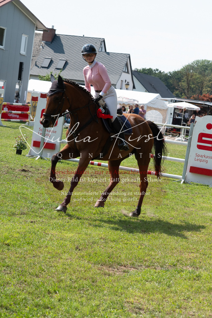DSC_0697 | Pferde- und Turnierfotografie in Westsachsen. Pferdeportraits, Auftragszeichnungen und intuitive Kunst.