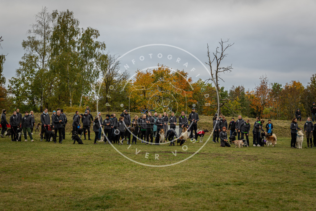 Pfotenfotografie_0L8A0346 | Hundefotografie, Tierfotograf, Pfotenfotografie, Fotoshooting Hund, Hunde Portrait, Hundesport, Hundeportraits, Heideshooting, Hunde, Sportfotograf, Hundefotograf, Turnierhundsport, THS,  - Realisiert mit Pictrs.com