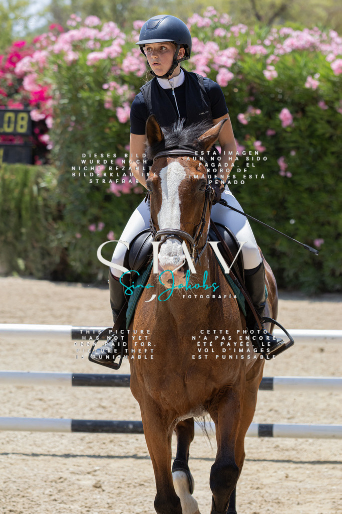 IMG_1959 | s-jay-photography - Realisiert mit Pictrs.com