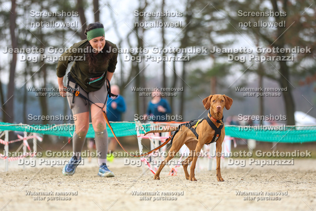 Dog Paparazzi - Strongdog North Mrz26-4378 | Dog Paparazzi Jeanette Grottendiek Fotografie & Videografie - Realisiert mit Pictrs.com