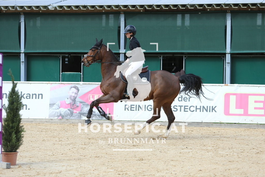 DL2Q9847 | Willkommen bei Brunnmayr - Design & Fotografie – Ihrem Spezialisten für Reitturniere und Pferdeveranstaltungen in Oberösterreich, Salzburg und Bayern! Seit über 17 Jahren sind wir leidenschaftlich dabei.