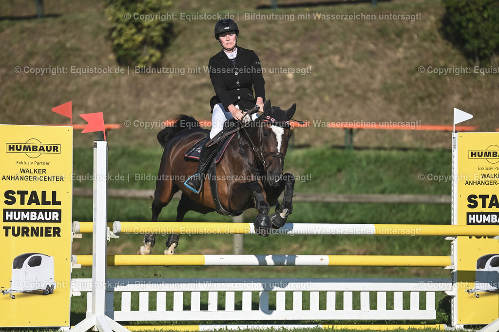 20230908_14-15_Springpferde-A_0041 | equistock
