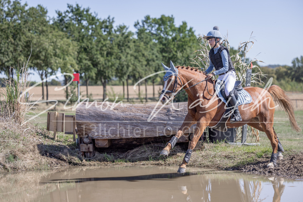 20260906-_3LI3001 | Tierfotografie Pferde, Hunde, Katzen, Haustiere.
Turnierfotografie Reitturniere, Reiten, Springreiten, Dressur in Hanau, dem Main-Kinzig-Kreis und dem Rhein-Main- Gebiet um Frankfurt