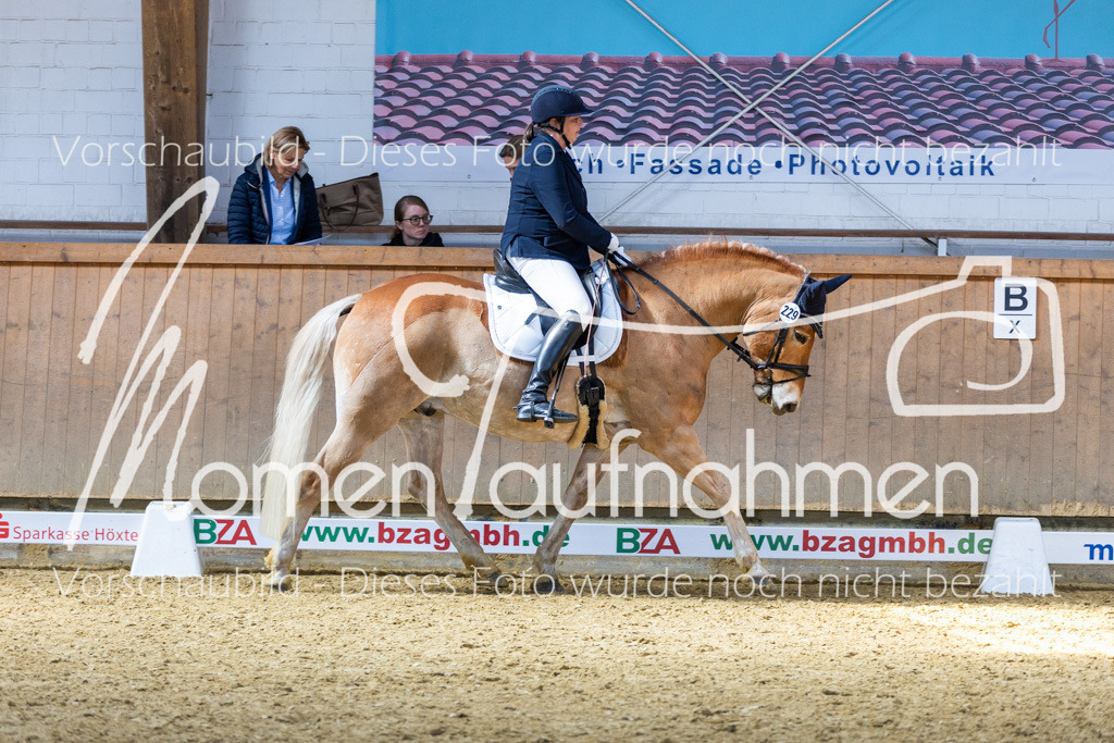 Sth-LPO25-DrR-L-144 | MomenTaufnahmen Pferdesportfotos