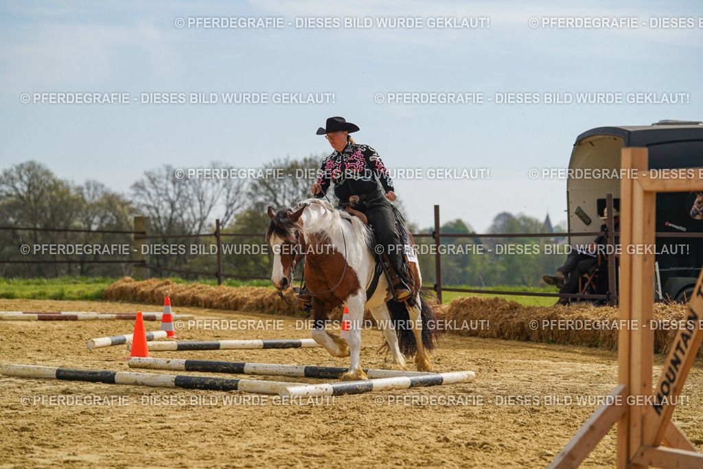 DSC02126 | Pferdegrafie