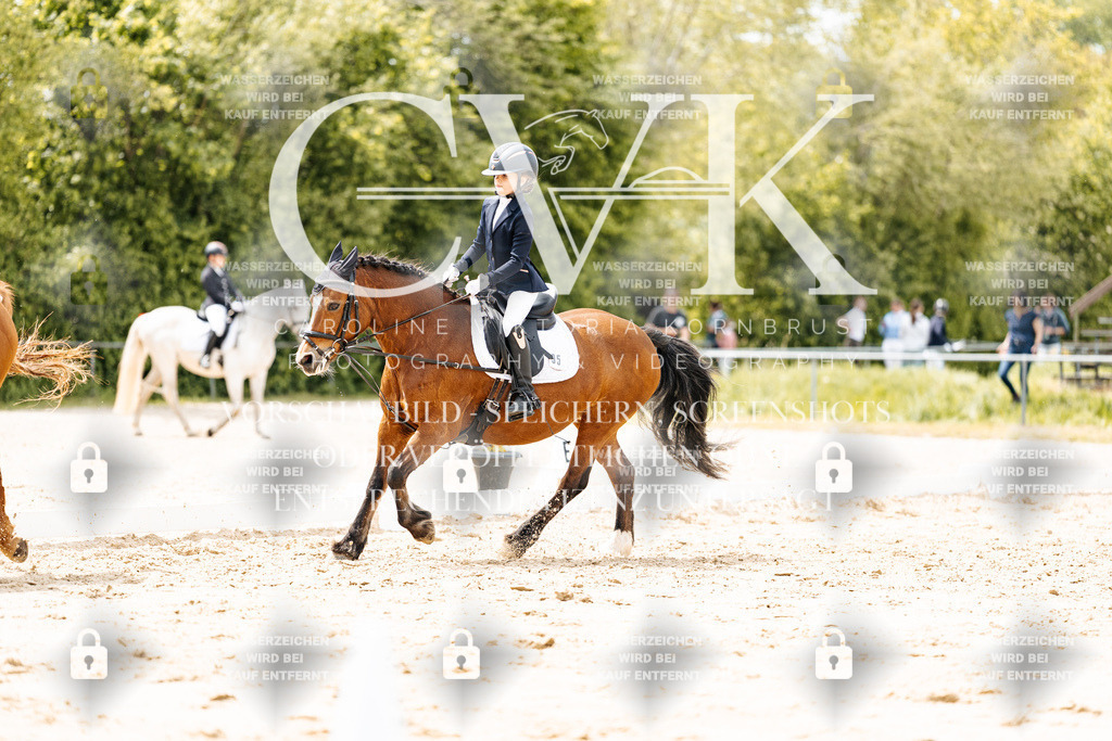CK902366 | Turnierfotografie Pferdefotografie Trier Rheinland-Pfalz Pferdesport Reitsport Tierfotografie Sportfotografie Pferdevideo Pferdevideografie Equestrianvideography equestrianphotography  - Realisiert mit Pictrs.com