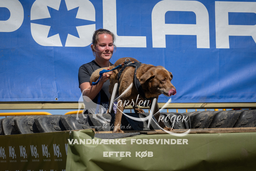 1324_ZZ98818 | kk-dogfotos