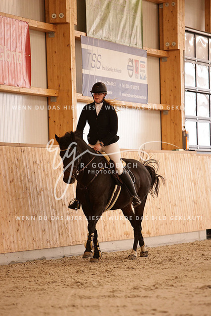 1J2A2778Miriam Steinicke_ Supernova 6_ Kn456_ Hohen Wieschendorf_ Glantz | Foto- und Videografie für alles rund ums Pferd. Hochwertige Bilder und Videos vom Spring- und Dressurreiten, Voltigieren & mehr. Jetzt aktuelle Veranstaltungen und Preise im Shop ansehen. - Realisiert mit Pictrs.com