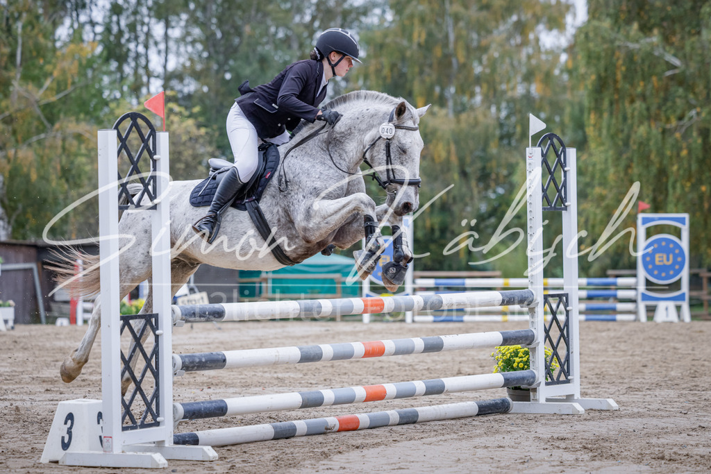 20251012-_3LI3430 | Tierfotografie Pferde, Hunde, Katzen, Haustiere.
Turnierfotografie Reitturniere, Reiten, Springreiten, Dressur in Hanau, dem Main-Kinzig-Kreis und dem Rhein-Main- Gebiet um Frankfurt