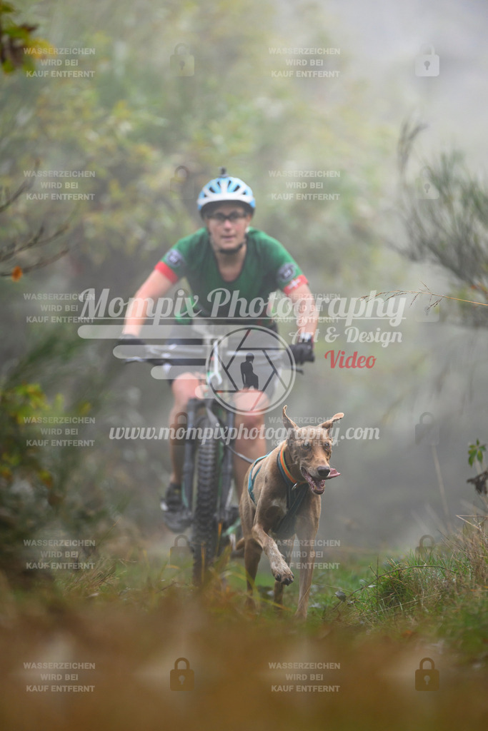 MompixPhotography_20TSB_E4_Bike-150 | PayLife