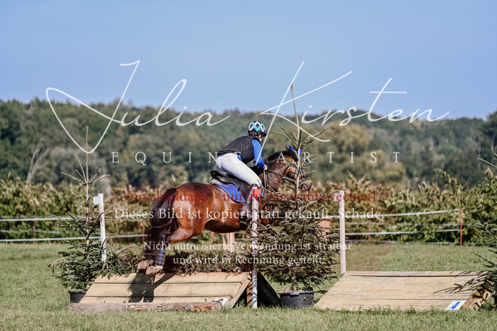 DSC_3109 | Pferde- und Turnierfotografie in Westsachsen. Pferdeportraits, Auftragszeichnungen und intuitive Kunst.