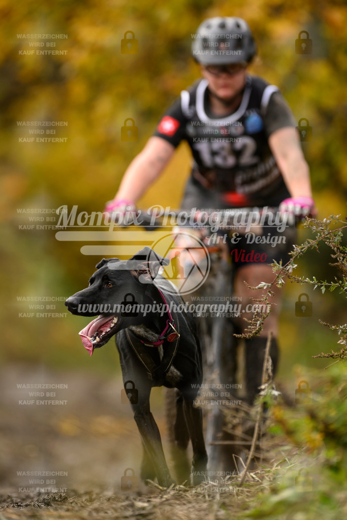 MompixPhotography_ICF_WC_2024_SA_Bike_-152 | PayLife