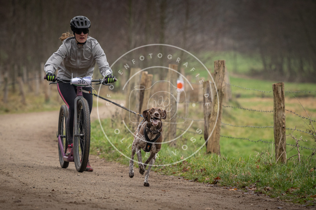 Pfotenfotografie_DV3A2423 | Hundefotografie, Tierfotograf, Pfotenfotografie, Fotoshooting Hund, Hunde Portrait, Hundesport, Hundeportraits, Heideshooting, Hunde, Sportfotograf, Hundefotograf, Turnierhundsport, THS,  - Realisiert mit Pictrs.com