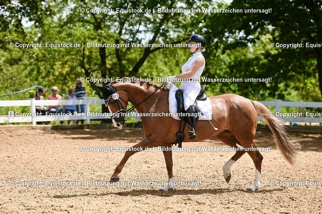 20230716_03_Dressurprfg. Kl.L - Tr._0497 | equistock