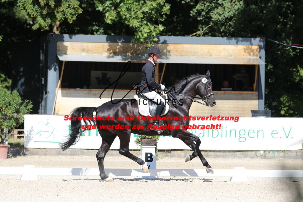 IMG_5439 | lmwpictures - Realisiert mit Pictrs.com