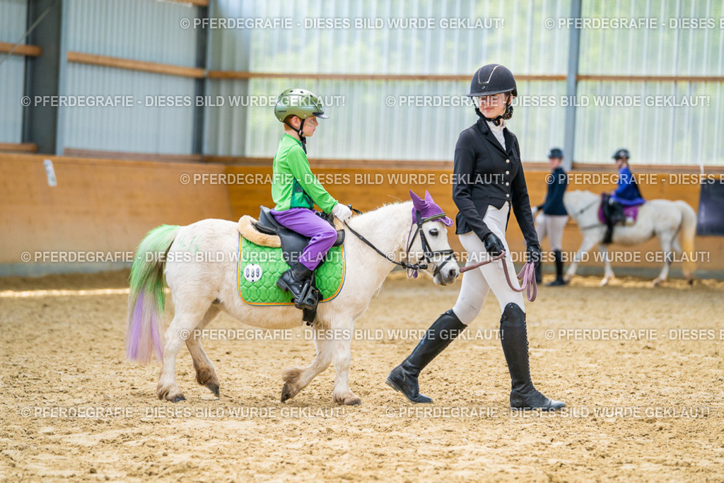 DSC09845 | Pferdegrafie