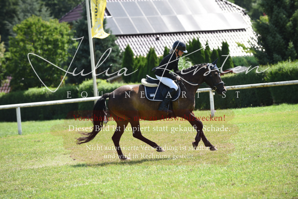 DSC_9935 | Pferde- und Turnierfotografie in Westsachsen. Pferdeportraits, Auftragszeichnungen und intuitive Kunst.