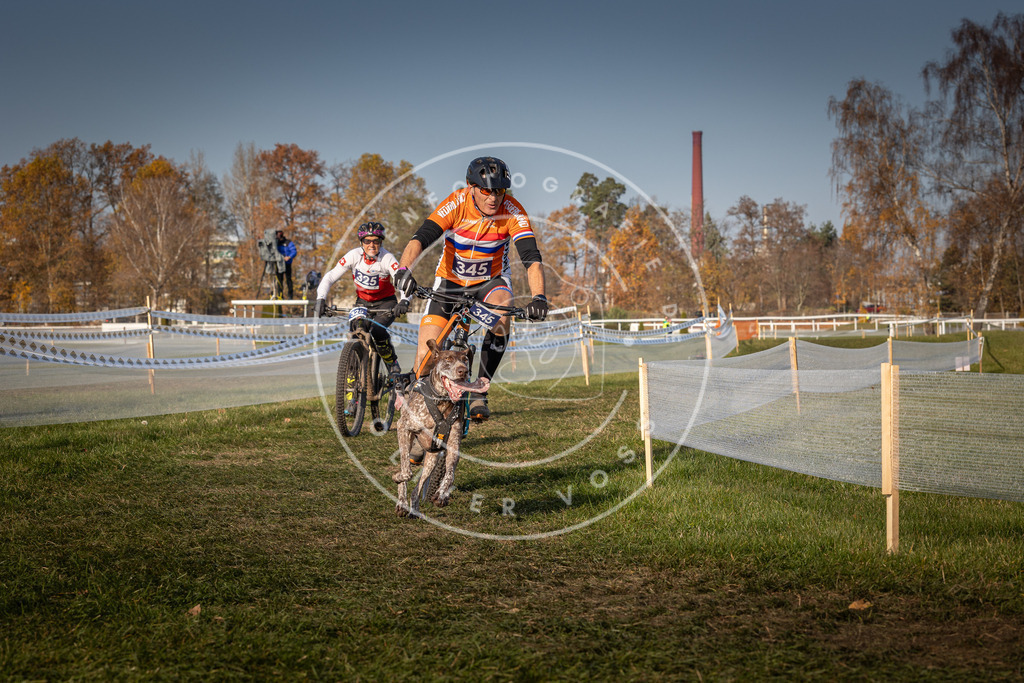 CaniXpix_0L8A7768 | Hundefotografie, Tierfotograf, Pfotenfotografie, Fotoshooting Hund, Hunde Portrait, Hundesport, Hundeportraits, Heideshooting, Hunde, Sportfotograf, Hundefotograf, Turnierhundsport, THS,  - Realisiert mit Pictrs.com
