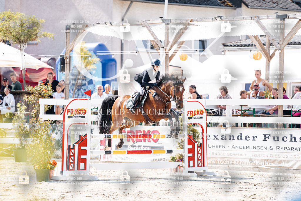 CK908731 | Turnierfotografie Pferdefotografie Trier Rheinland-Pfalz Pferdesport Reitsport Tierfotografie Sportfotografie Pferdevideo Pferdevideografie Equestrianvideography equestrianphotography  - Realisiert mit Pictrs.com