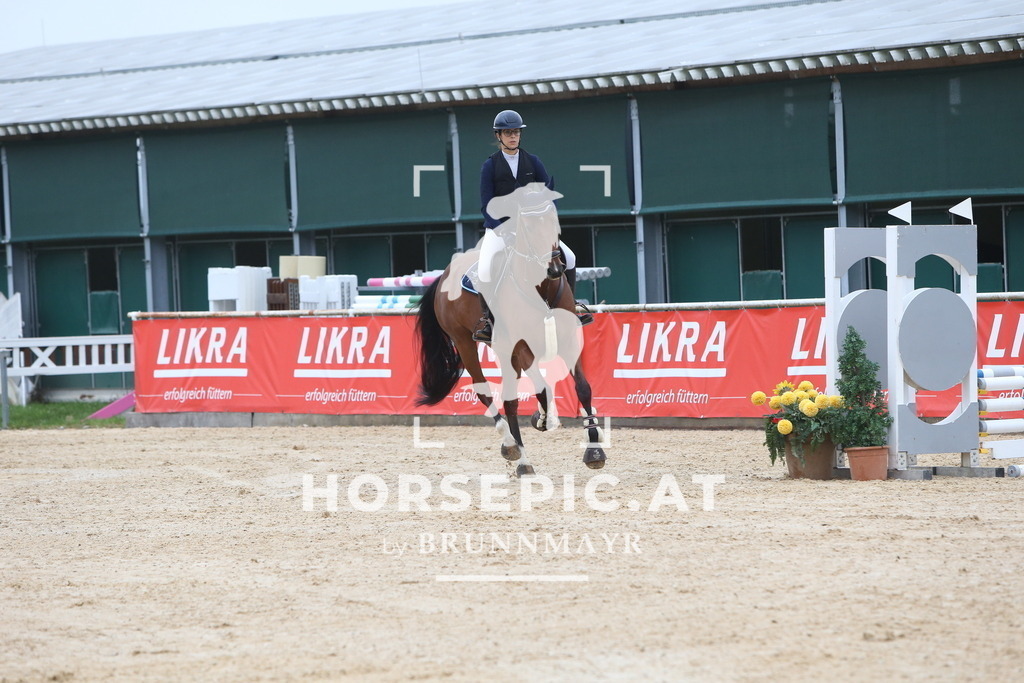 DL2Q0103 | Willkommen bei Brunnmayr - Design & Fotografie – Ihrem Spezialisten für Reitturniere und Pferdeveranstaltungen in Oberösterreich, Salzburg und Bayern! Seit über 17 Jahren sind wir leidenschaftlich dabei.