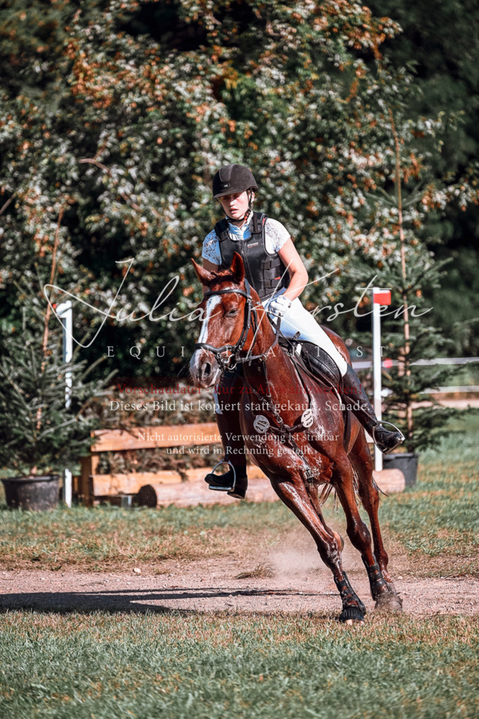 DSC_0772 | Pferde- und Turnierfotografie in Westsachsen. Pferdeportraits, Auftragszeichnungen und intuitive Kunst.