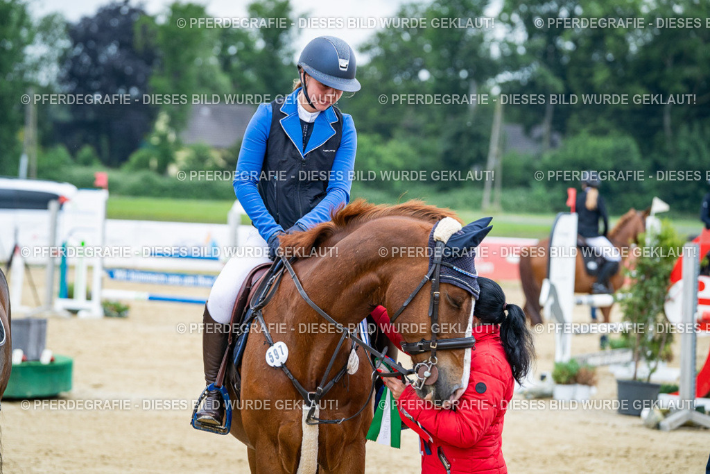 DSC03860 | Pferdegrafie