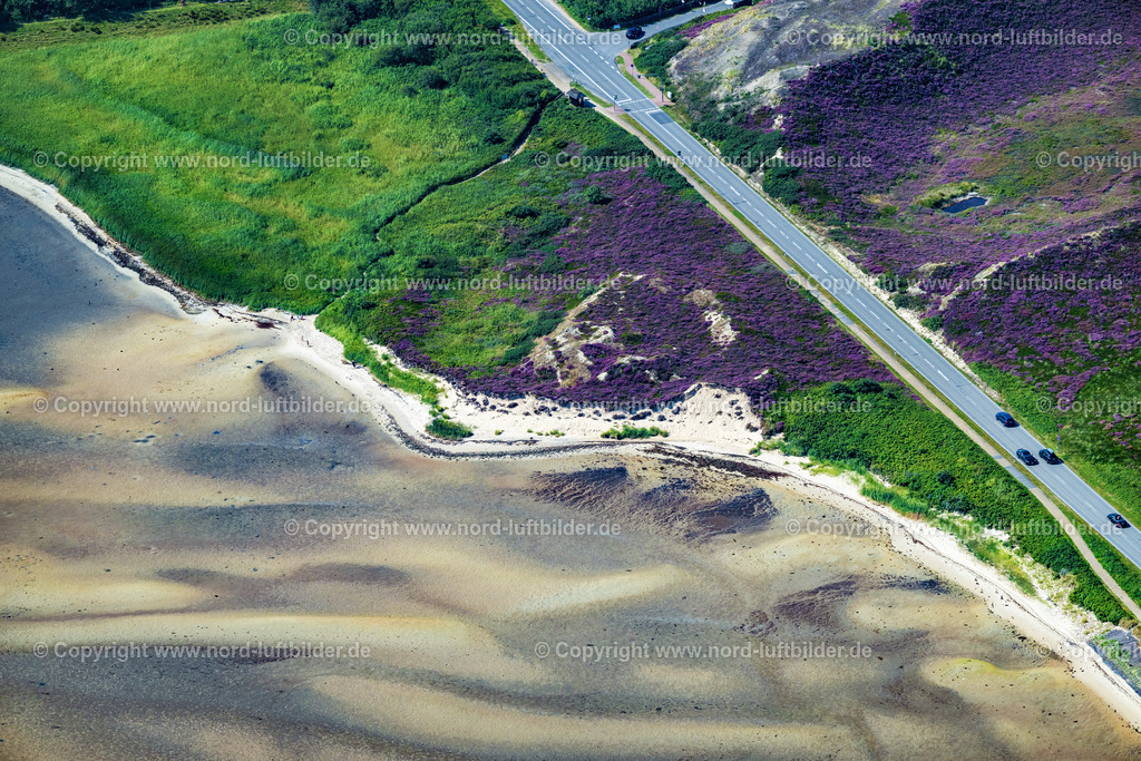 Sylt_List_Listerstrasse_Höhe_Jugenseeheim_Sylt_ELS_4068130825 | KAMPEN (SYLT) 13.08.2025 Straßenführung " Lister Straße " Abzweig Jugendseeheim Sylt in Kampen (Sylt) im Bundesland Schleswig-Holstein, Deutschland. // Street layout " Lister Strasse " junction Jugendseeheim Sylt in Kampen (Sylt) in the federal state of Schleswig-Holstein, Germany. Foto: Martin Elsen