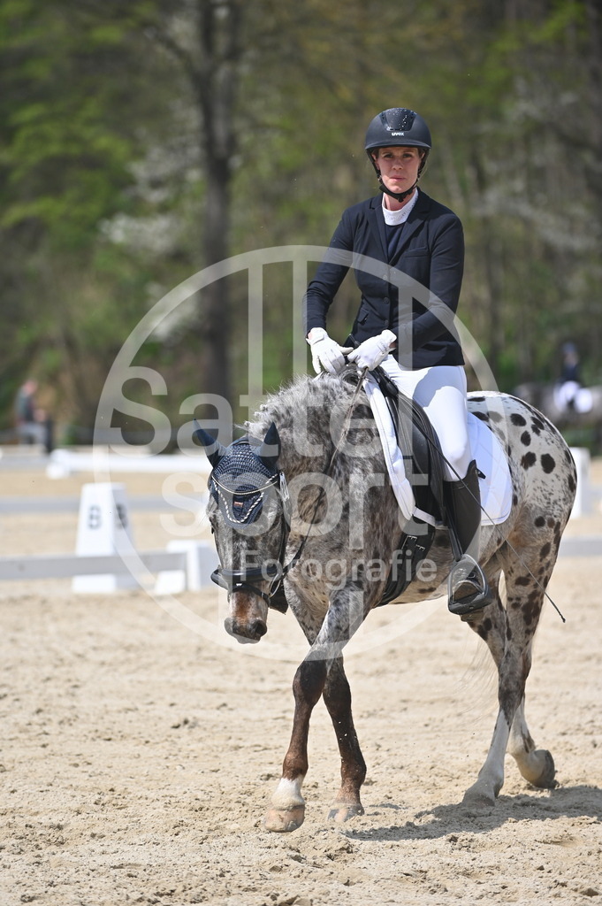 DSC_2328 | sattelsport - Realisiert mit Pictrs.com