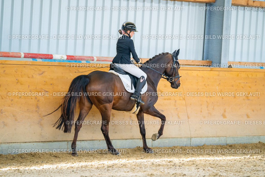 DSC07262 | Pferdegrafie