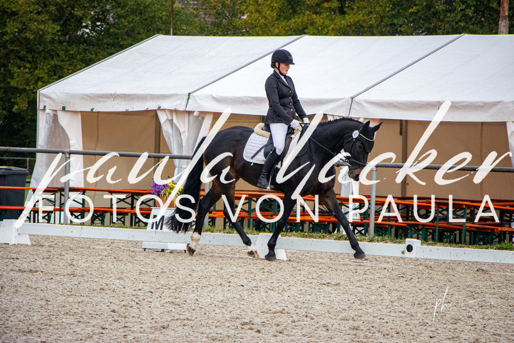 IMG_6269 | Erleben Sie dynamische Sport- und emotionale Tierfotografie in Süddeutschland mit Fotos von Paula. Spezialisiert auf Pferde- und Hundefotografie sowie Sportevents. Kontaktieren Sie mich für einzigartige und ausdrucksstarke Bilder Ihrer besonderen Momente. - Realisiert mit Pictrs.com