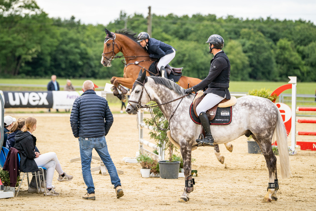 DSC06044 | Pferdegrafie