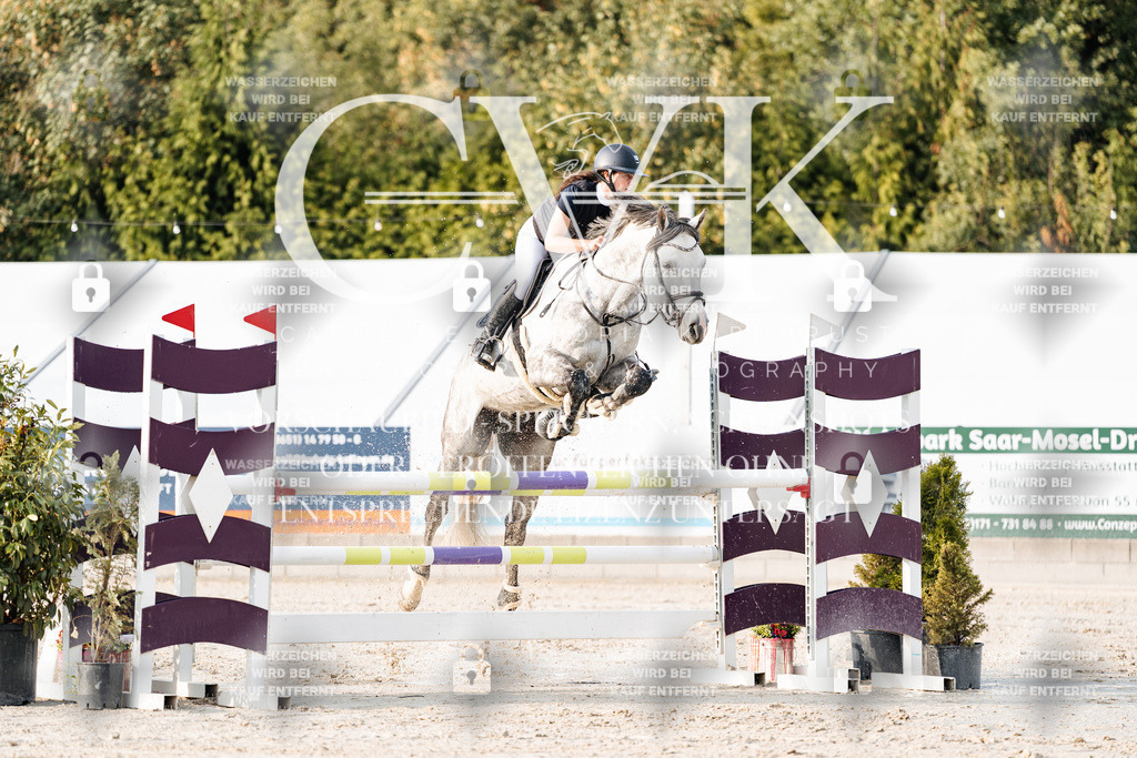 CK903390 | Turnierfotografie Pferdefotografie Trier Rheinland-Pfalz Pferdesport Reitsport Tierfotografie Sportfotografie Pferdevideo Pferdevideografie Equestrianvideography equestrianphotography  - Realisiert mit Pictrs.com