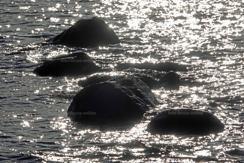 sun painting | foto-focus-online