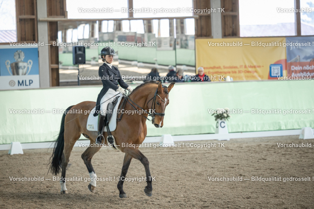 _D5A9982 | Emotionale Pferde- & People-Fotografie rund um Heidelberg, Leimen & Umgebung. Natürliche Fotos von Pferd, Mensch & Familie. Jetzt Termin sichern!