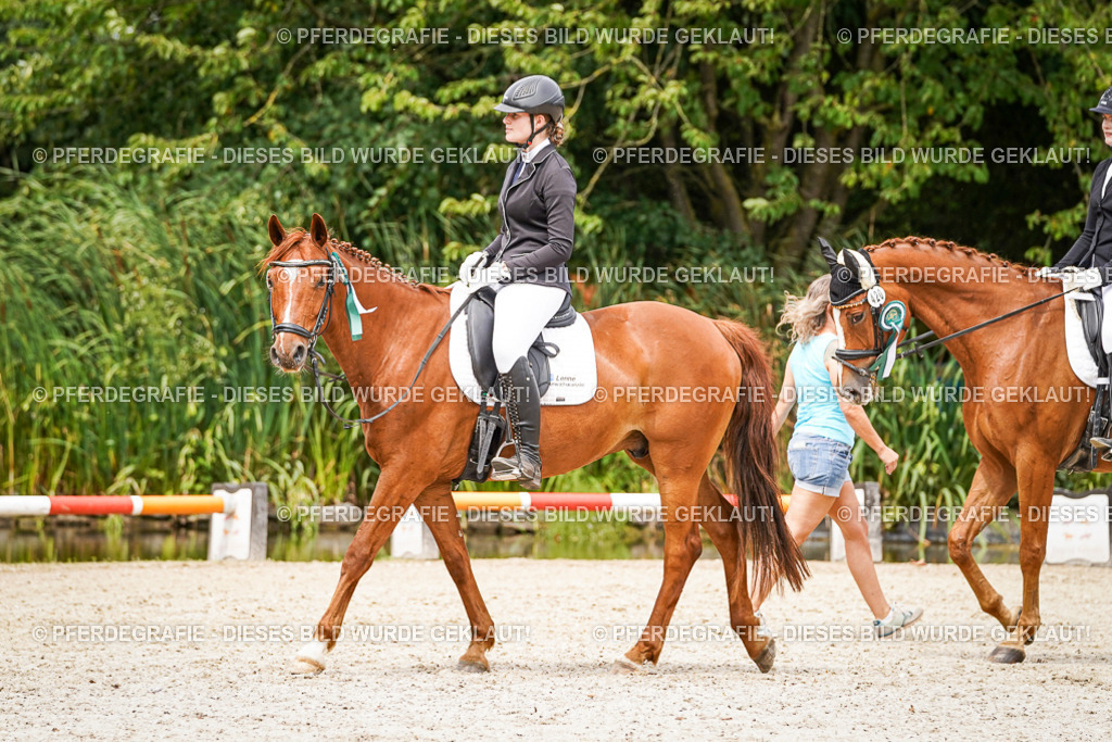 DSC04678 | Pferdegrafie