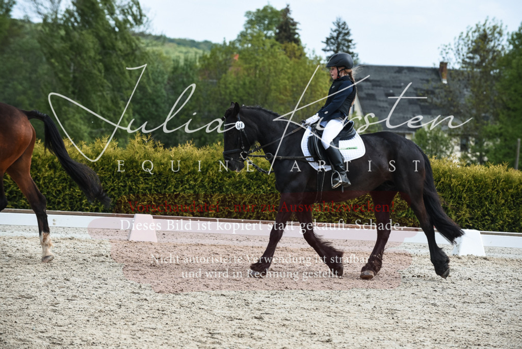 20230518_JK-Röhrsdorf-11-0962 | Pferde- und Turnierfotografie in Westsachsen. Pferdeportraits, Auftragszeichnungen und intuitive Kunst.