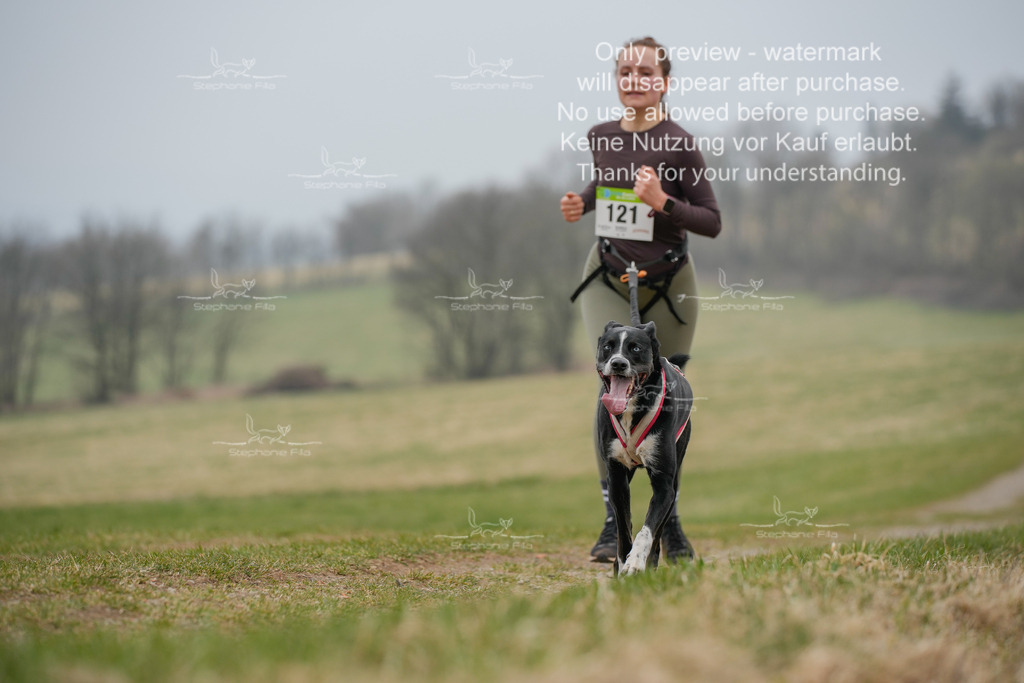 Canixlong-157 | stephaniefillaphotographie - Realisiert mit Pictrs.com