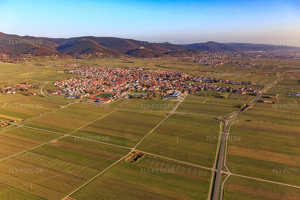 Luftbild: Ortsansicht von Südosten im Ortsteil Alsterweiler in Maikammer im Bundesland Rheinland-Pfalz in Deutschland. Foto: IMG_126354.jpg vom 04.04.2021 durch Werner Riehm/FLY-FOTO.de