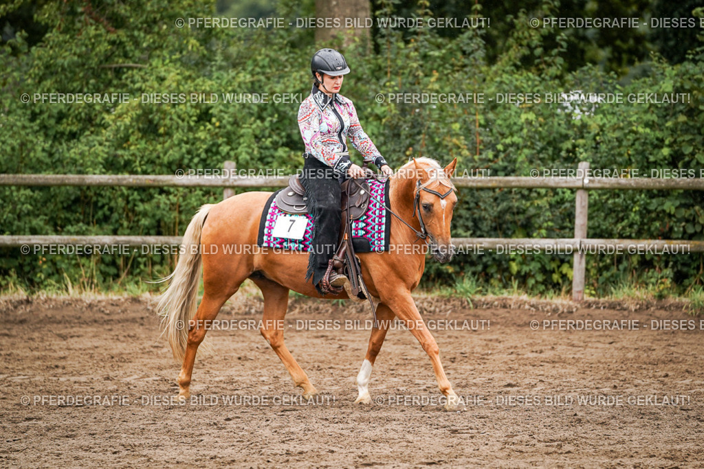 DSC05294 | Pferdegrafie