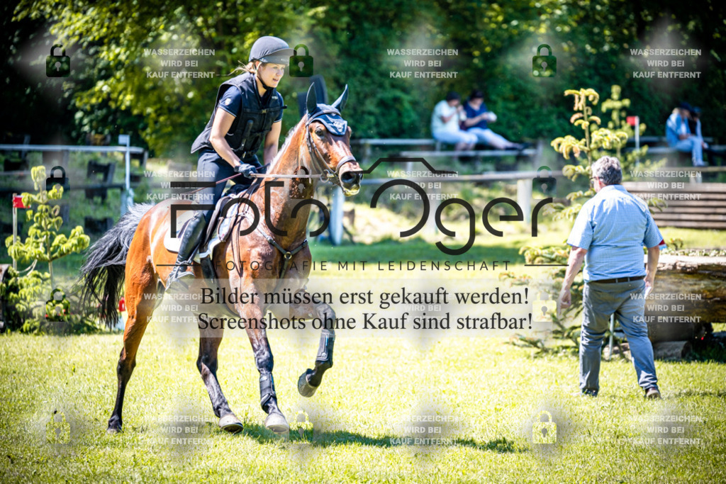 2026-05 - Melle Oldendorf-1-0019 | Entdecke hochwertige Reitturnierfotos von Foto Oger. Professionell, emotional und authentisch – jetzt Lieblingsmomente im Shop bestellen.Deutschlandweite Turnierfotografie. - Realisiert mit Pictrs.com