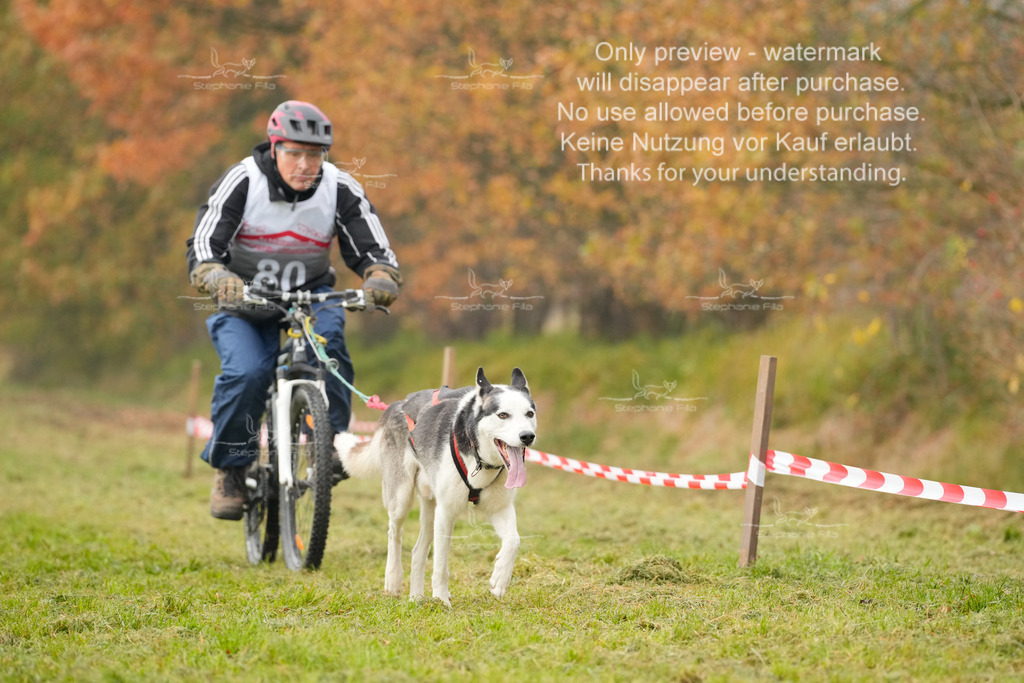 Visbeck_Sa_Bike-259 | stephaniefillaphotographie - Realisiert mit Pictrs.com