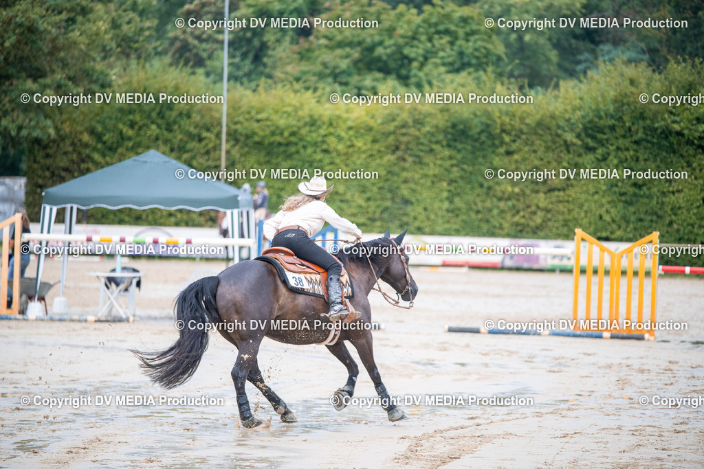 ZS2_4238 | dv-media-shop - Realisiert mit Pictrs.com