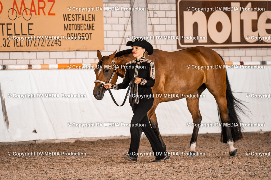 ZH200080 | dv-media-shop - Realisiert mit Pictrs.com