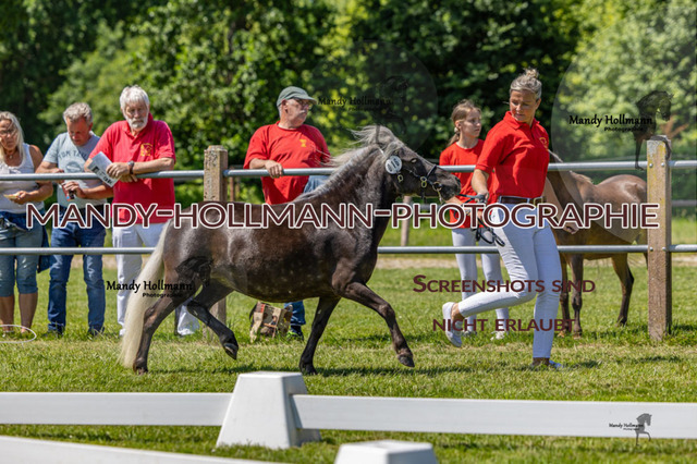 _MG_4291 | mandyhollmannphotographie